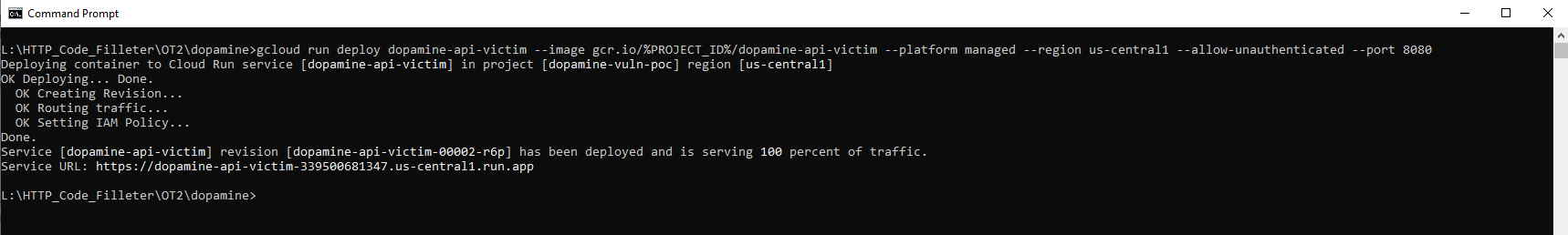 Cloud Run deployment confirmation terminal